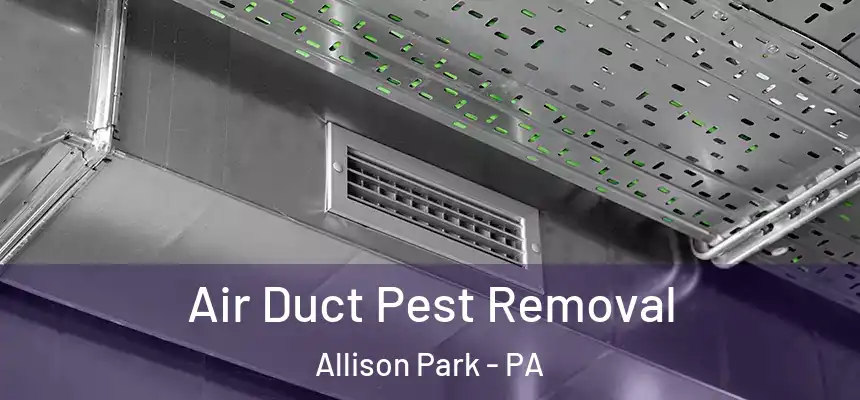  Air Duct Pest Removal Allison Park - PA