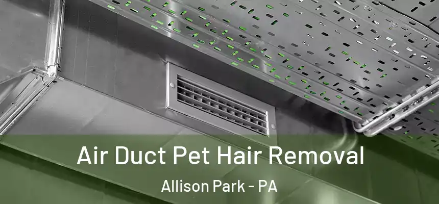  Air Duct Pet Hair Removal Allison Park - PA