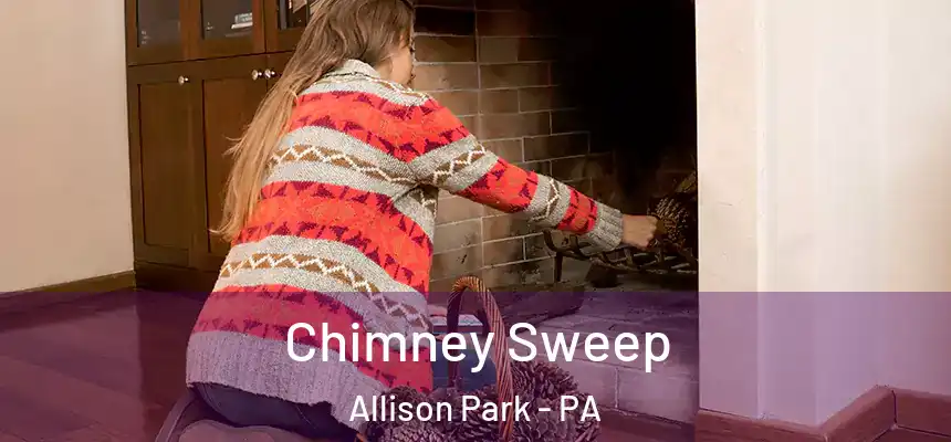  Chimney Sweep Allison Park - PA