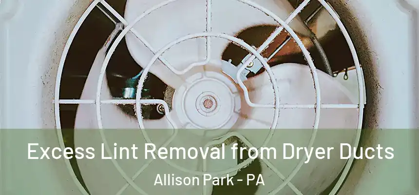 Excess Lint Removal from Dryer Ducts Allison Park - PA