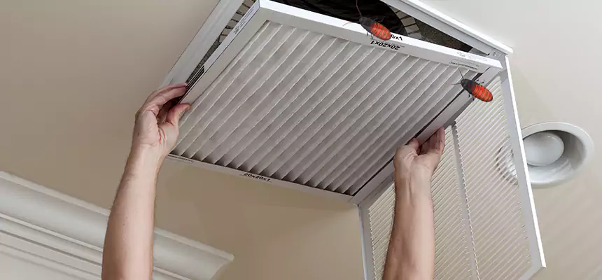 Preventive Cockroach-Proofing for Ducts in Allison Park