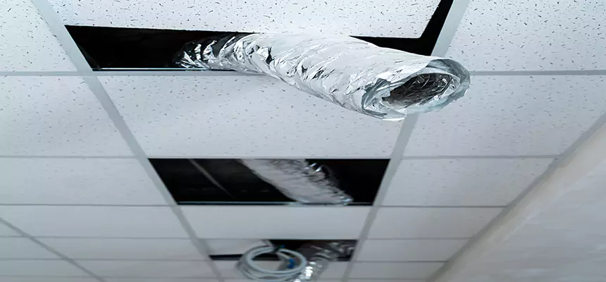 Our Air Duct Pet Hair Removal Services in Allison Park, PA