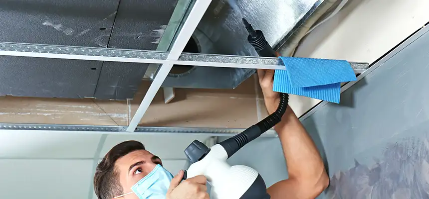 Our Air Duct Rodent Removal Services in Allison Park, PA