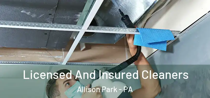 Licensed And Insured Cleaners Allison Park - PA