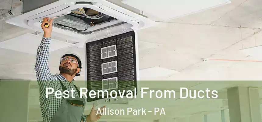 Pest Removal From Ducts Allison Park - PA