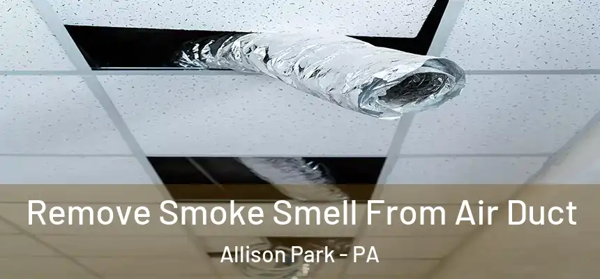 Remove Smoke Smell From Air Duct Allison Park - PA