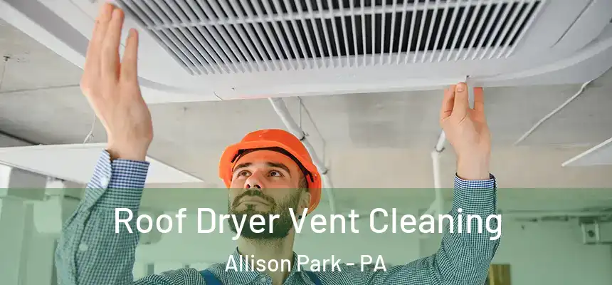 Roof Dryer Vent Cleaning Allison Park - PA