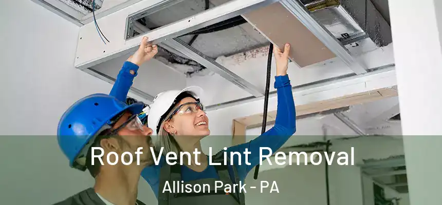 Roof Vent Lint Removal Allison Park - PA