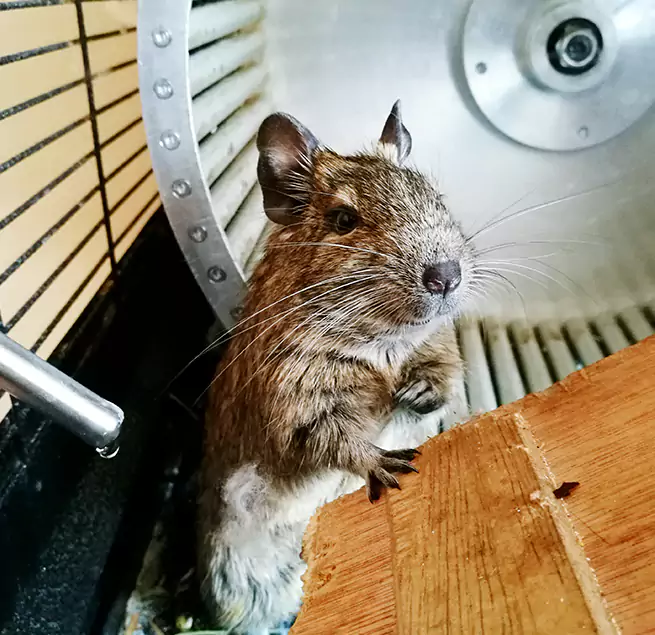 Why Homeowners & Businesses Trust Us Allison Park, PA