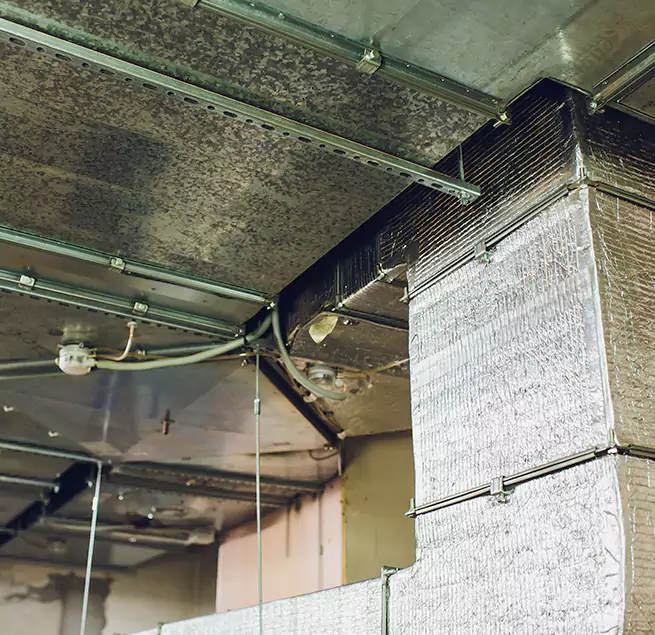 Why Homeowners & Businesses Trust Us in Allison Park, PA?