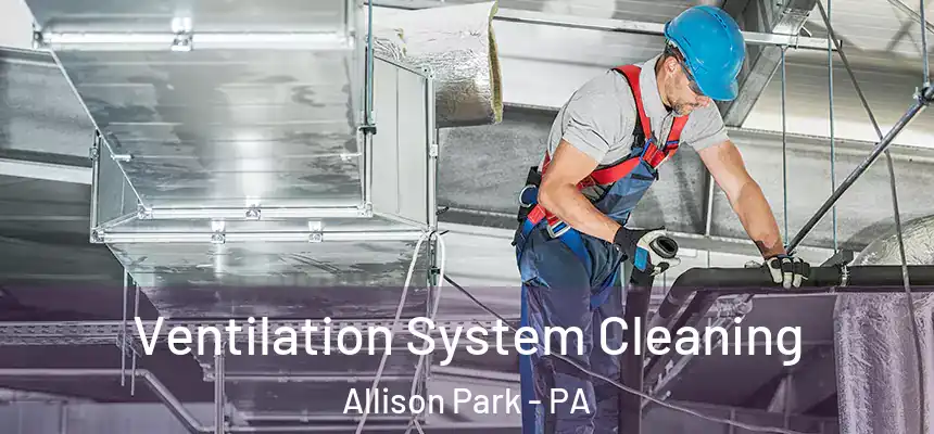  Ventilation System Cleaning Allison Park - PA